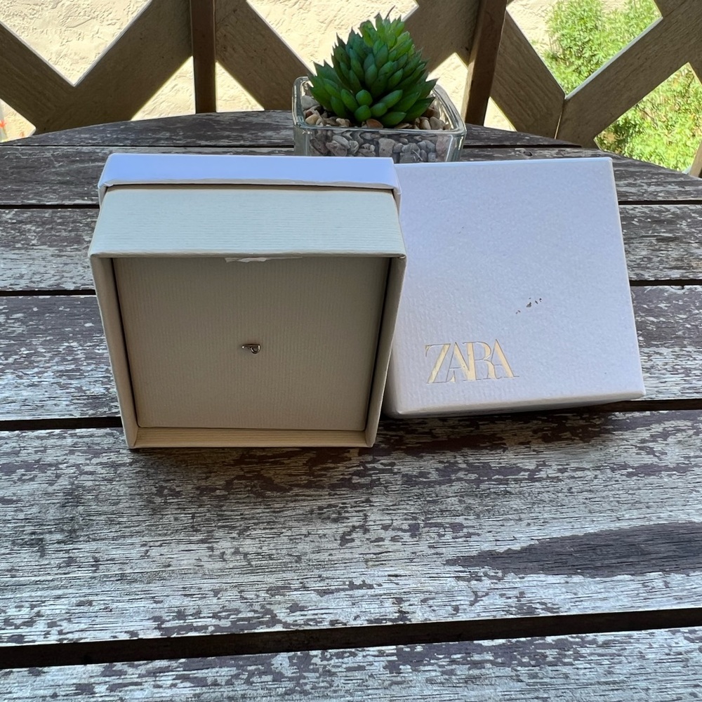 Zara Sterling Silver earring